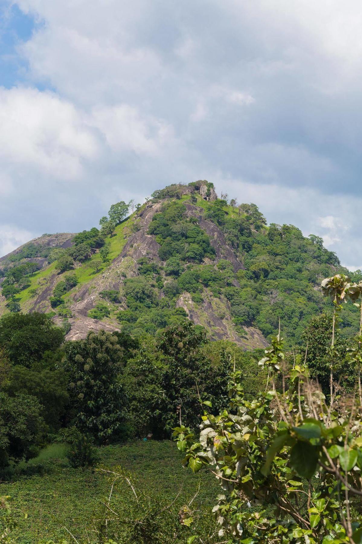 Jetwing Lake Dambulla Exterior foto